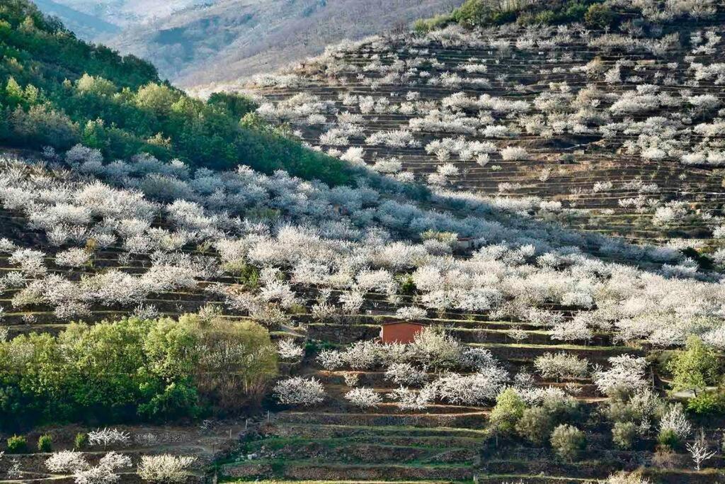 אל טורנו Apartamento Rural Se De Un Lugar מראה חיצוני תמונה