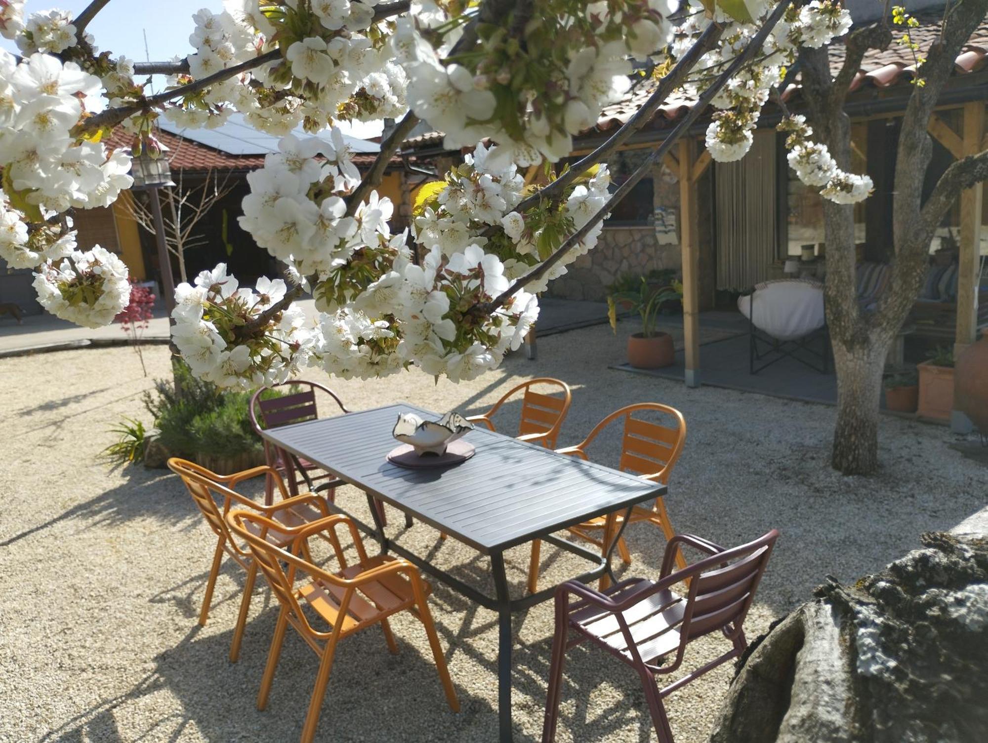 אל טורנו Apartamento Rural Se De Un Lugar מראה חיצוני תמונה